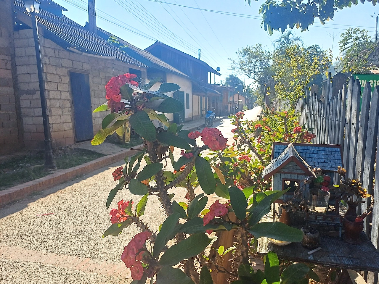 20241226_144441.jpg?type=w1600