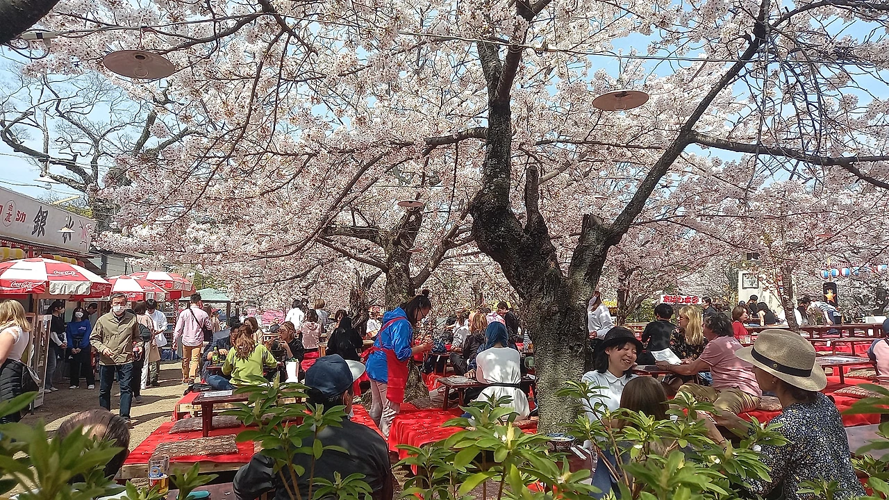 20230330_130537.jpg?type=w1600