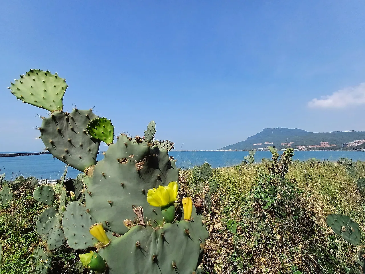 20231101_110706.jpg?type=w1600