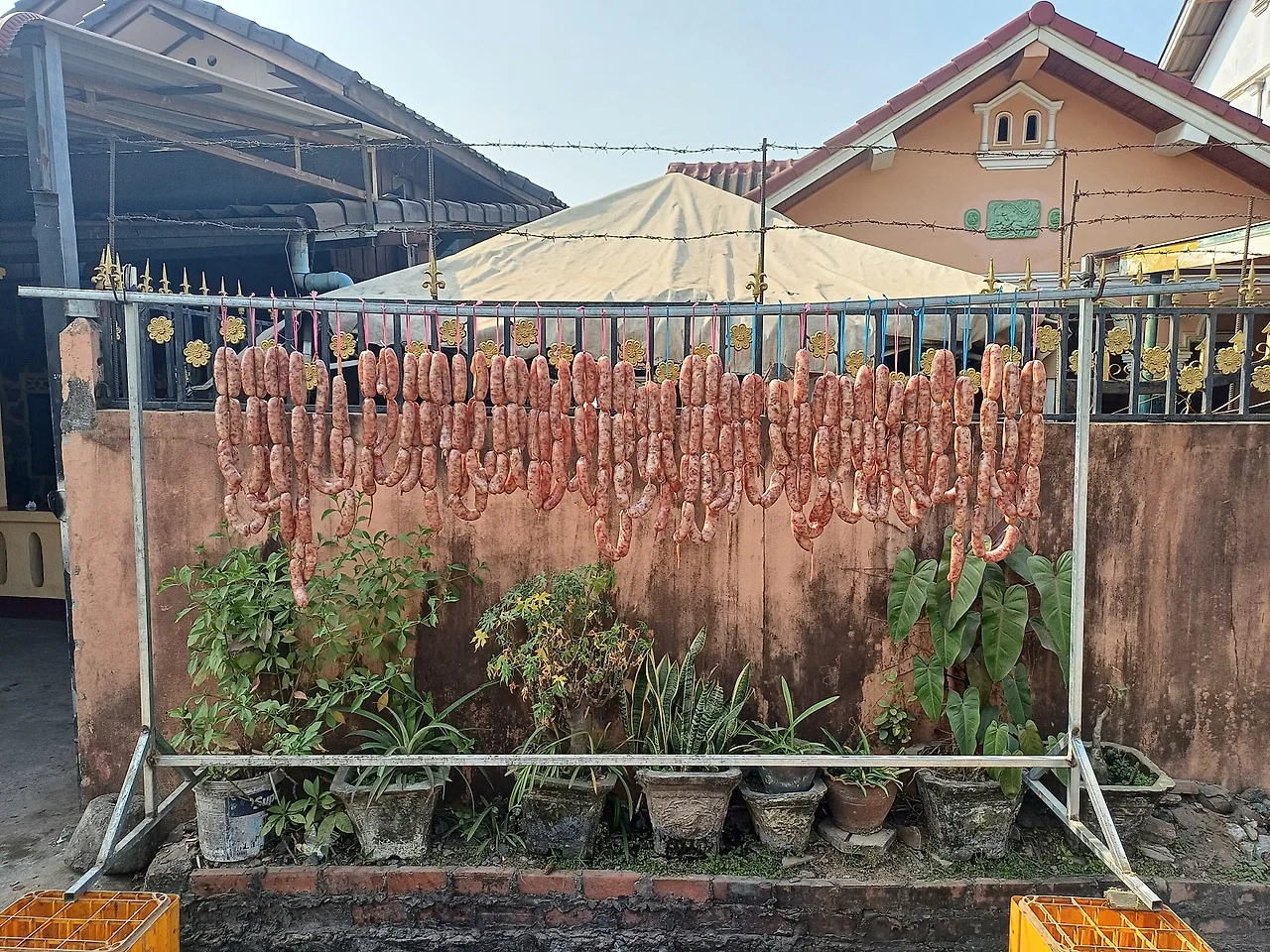 20250105_103931.jpg?type=w1600