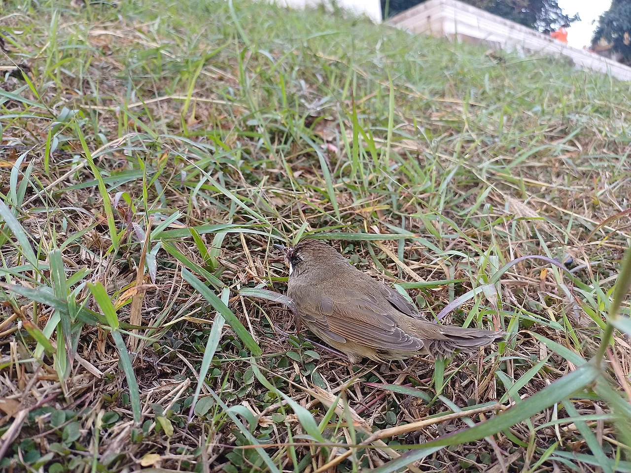 20241221_100308.jpg?type=w1600