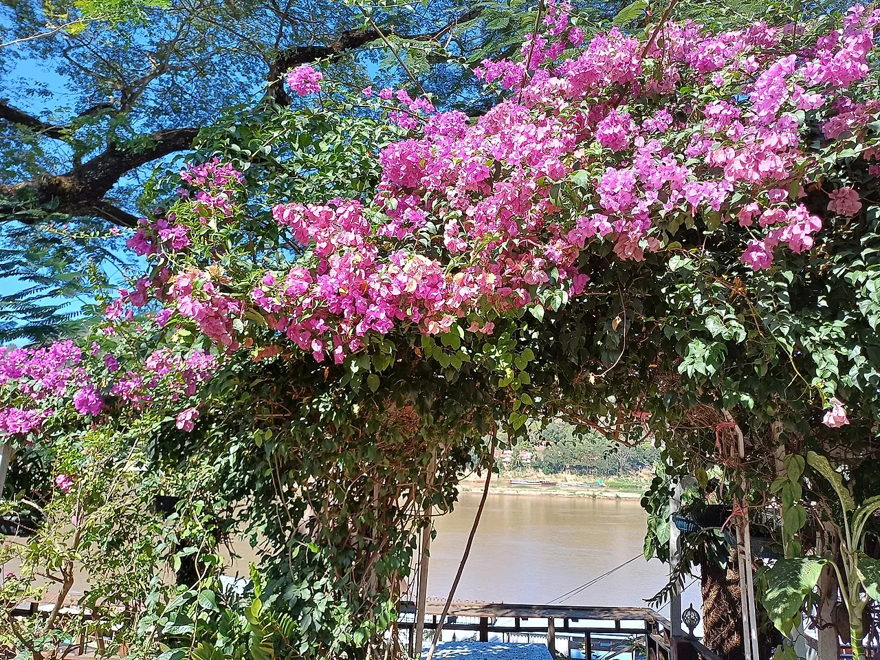 20241227_115508.jpg?type=w1600