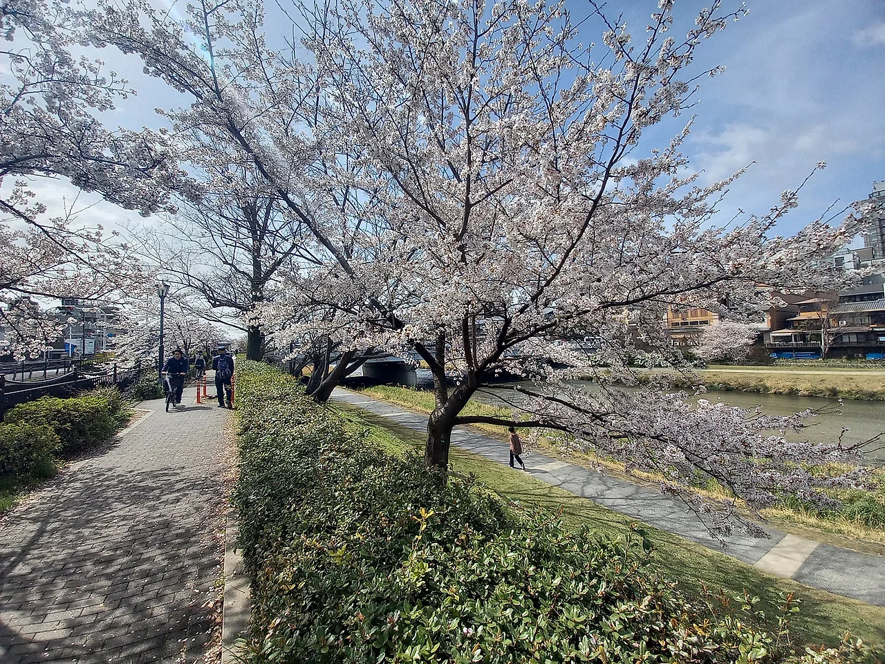 20230327_103350.jpg?type=w1600