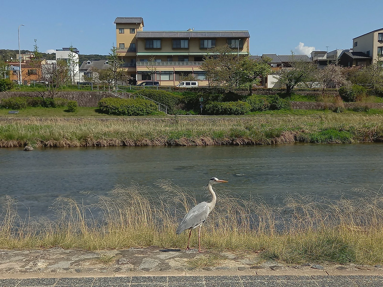 20230410_140726.jpg?type=w1600