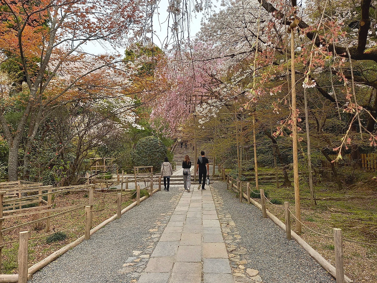 20230331_103257.jpg?type=w1600