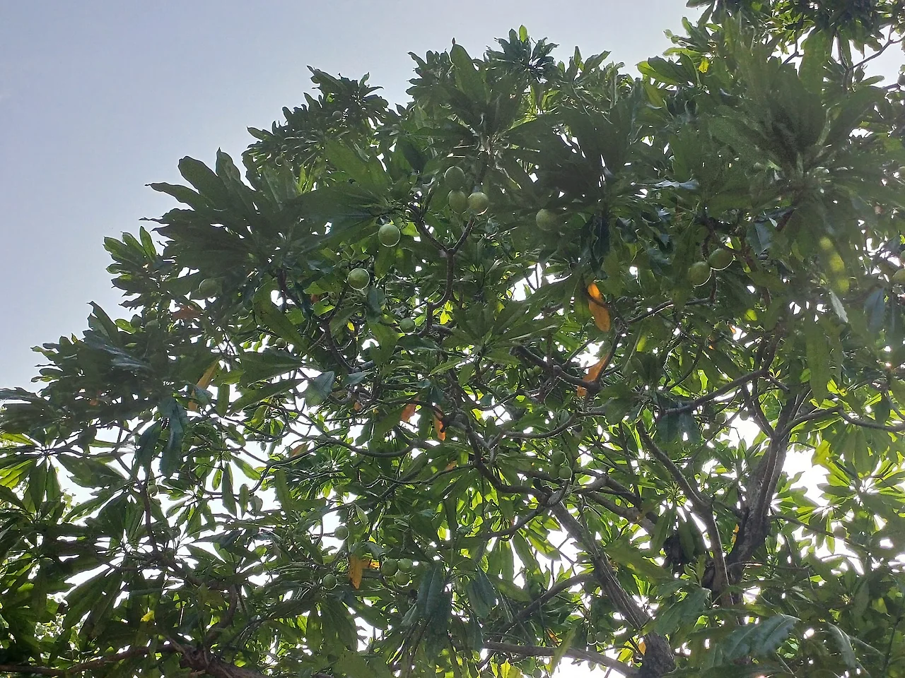 20231023_111149.jpg?type=w1600