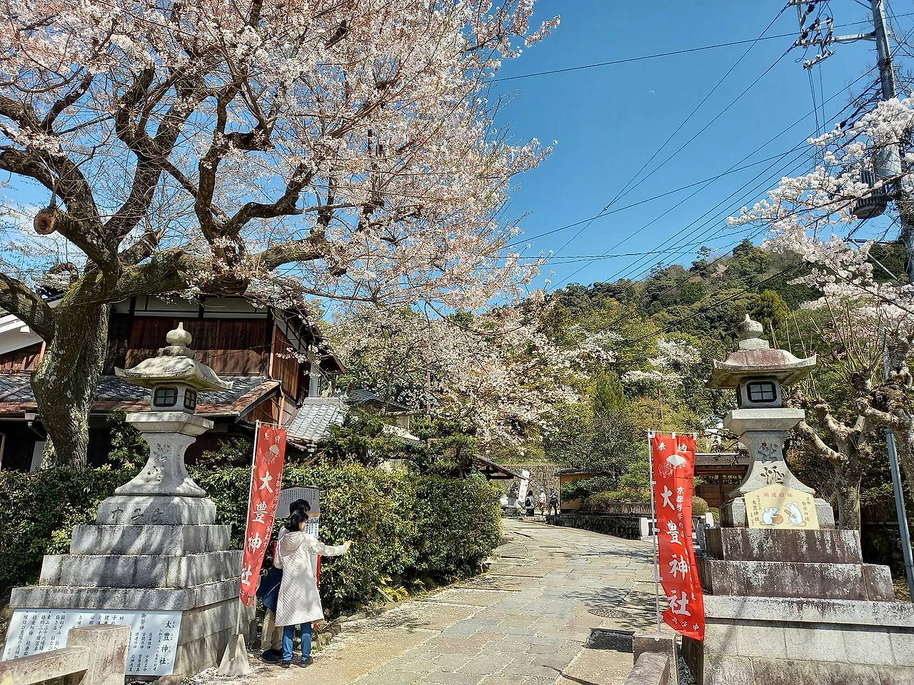 20230328_130443.jpg?type=w1600