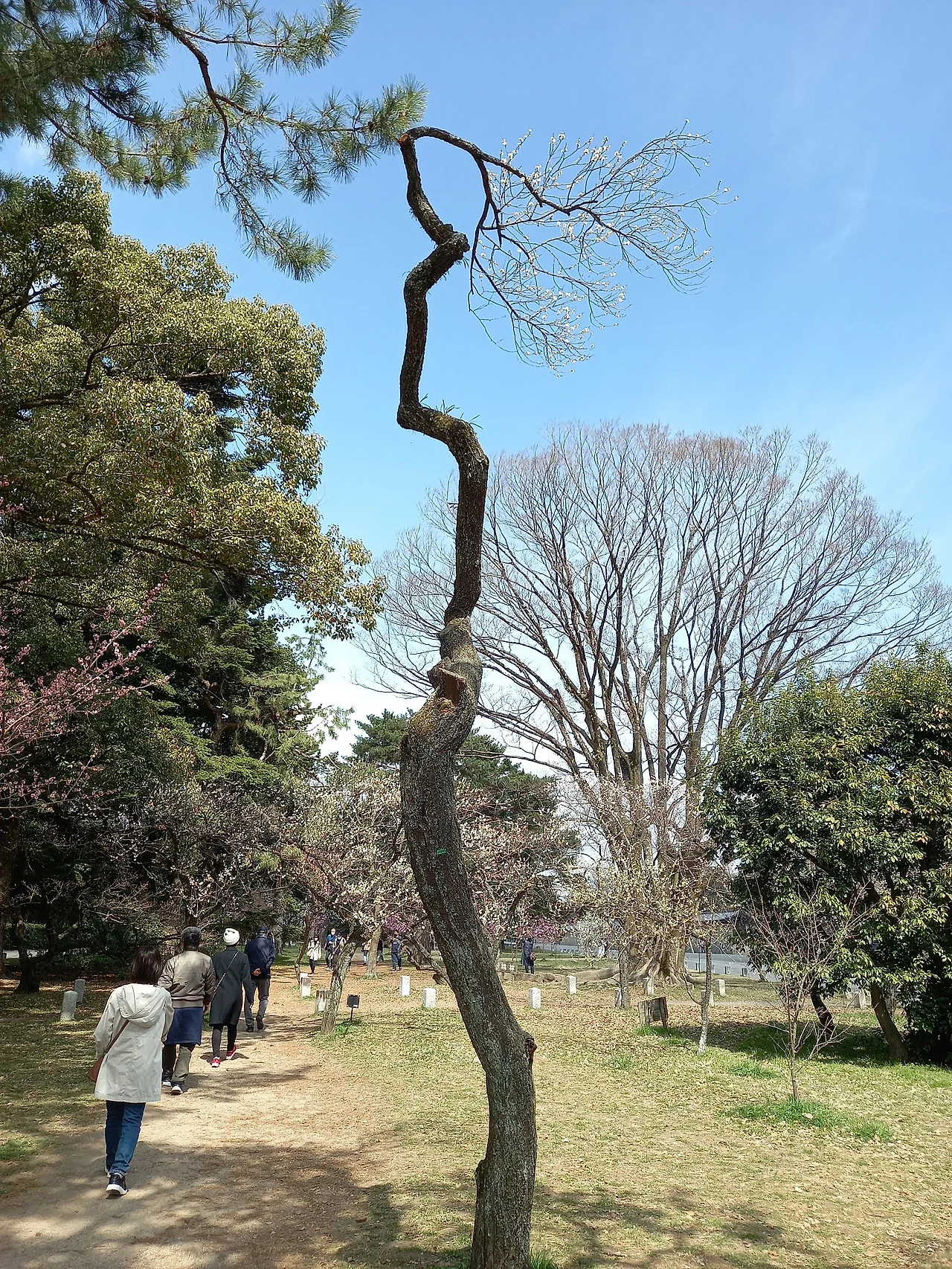 20230316_114725.jpg?type=w1600