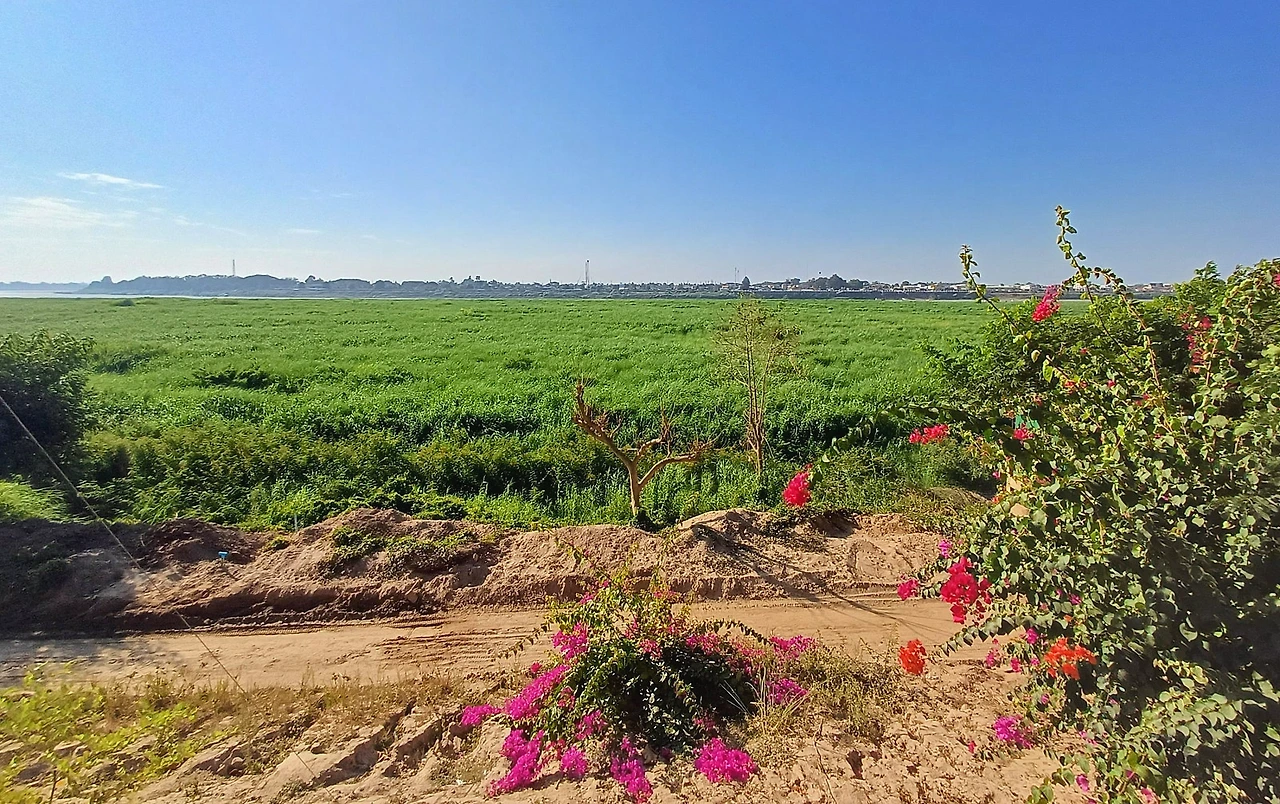 SE-14e9b093-0034-4cc1-ba33-08a3a5eec84a.jpg?type=w1600