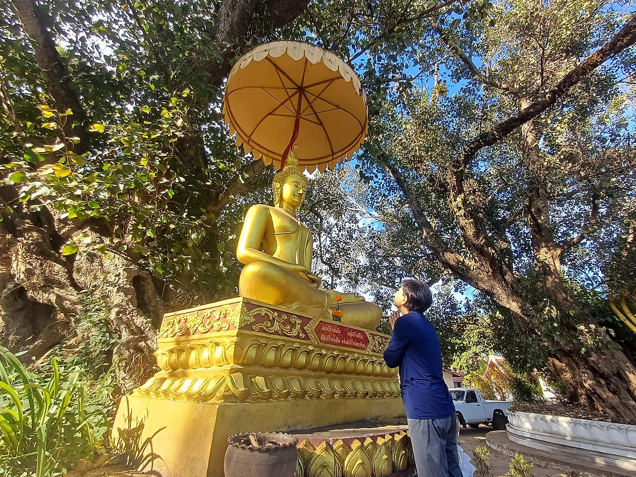 20241228_090858.jpg?type=w1600