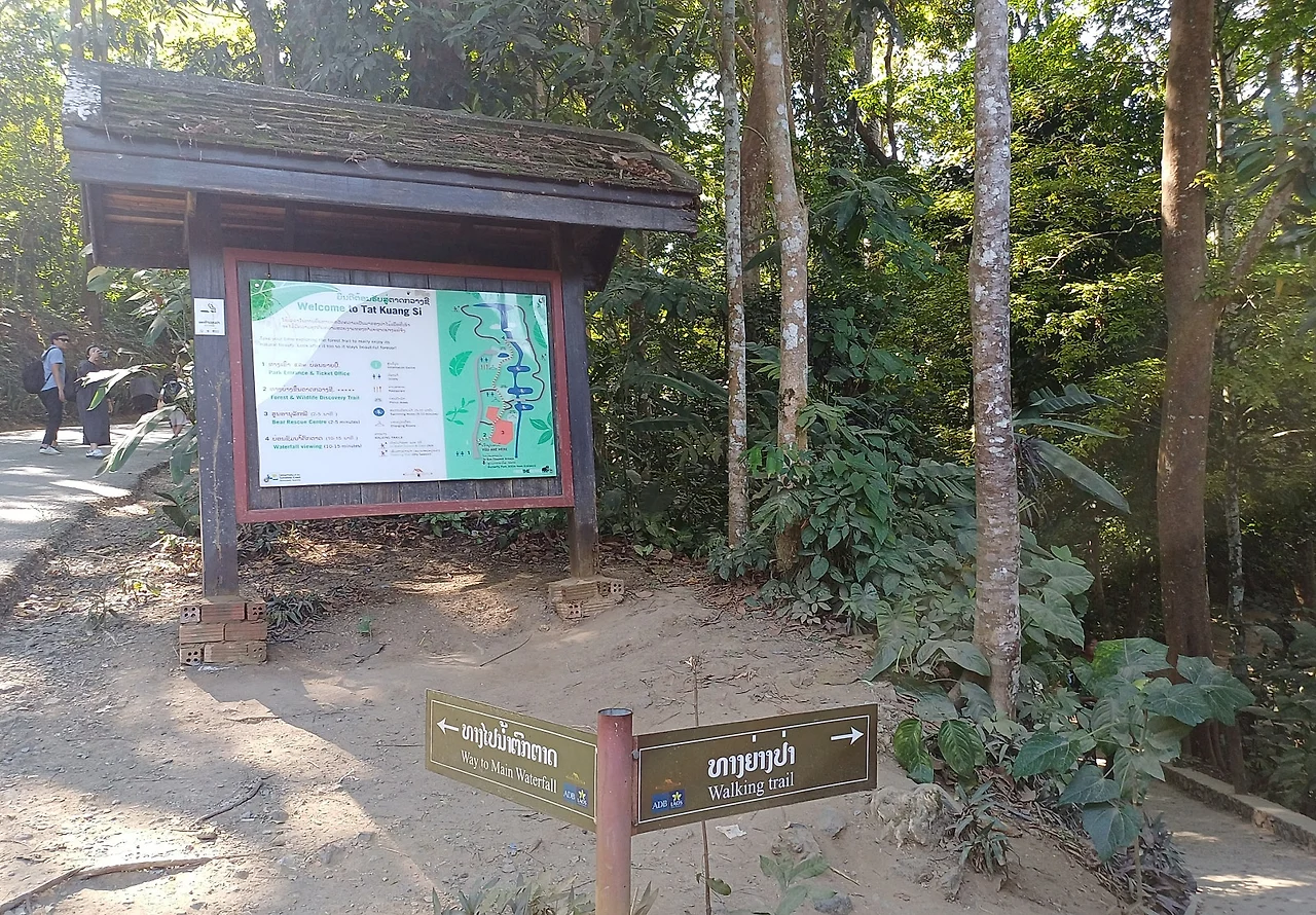 SE-657ccea5-d425-47b0-83bd-f3ef2ab7bd31.jpg?type=w1600