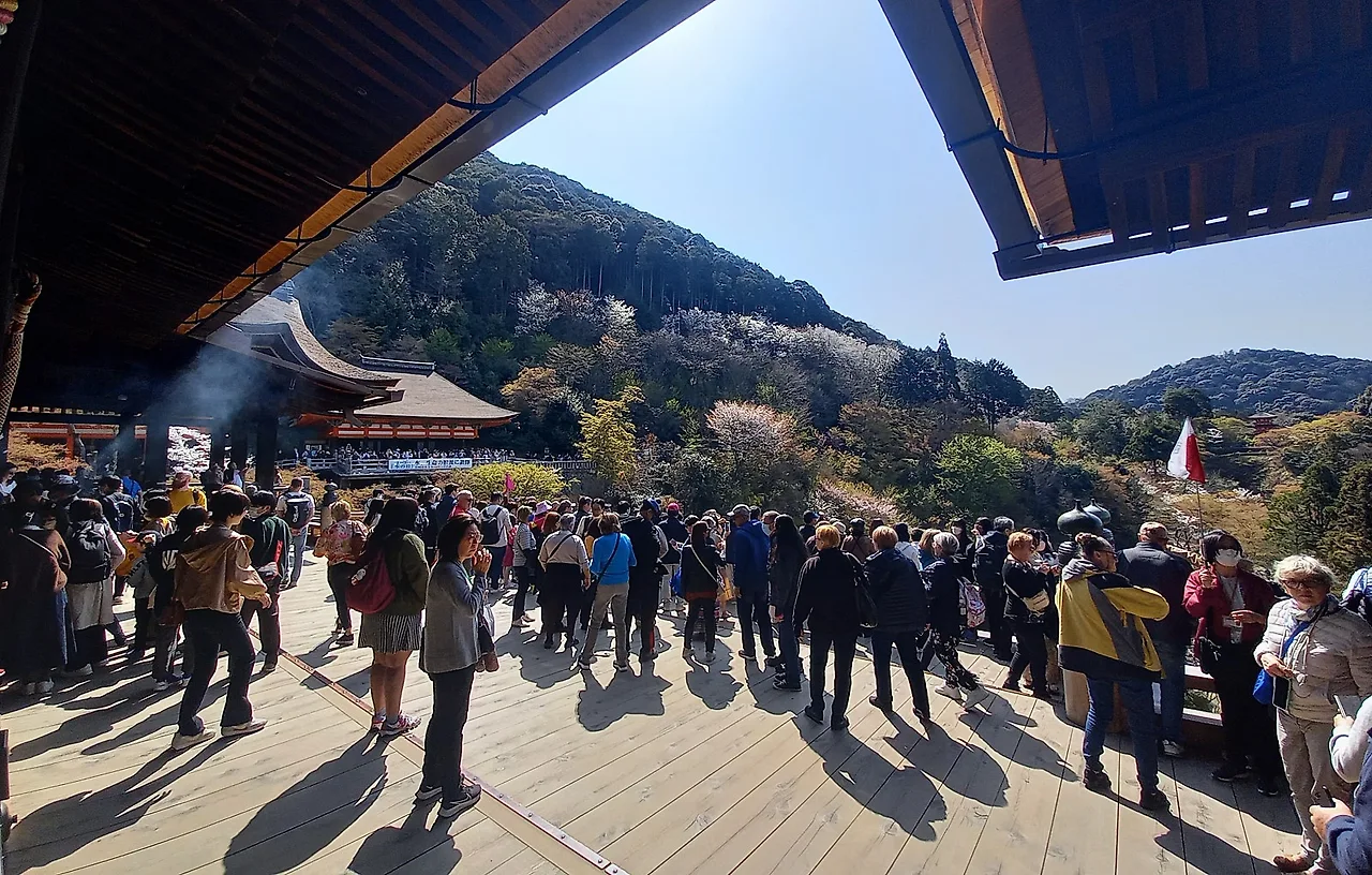 20230330_095205.jpg?type=w1600