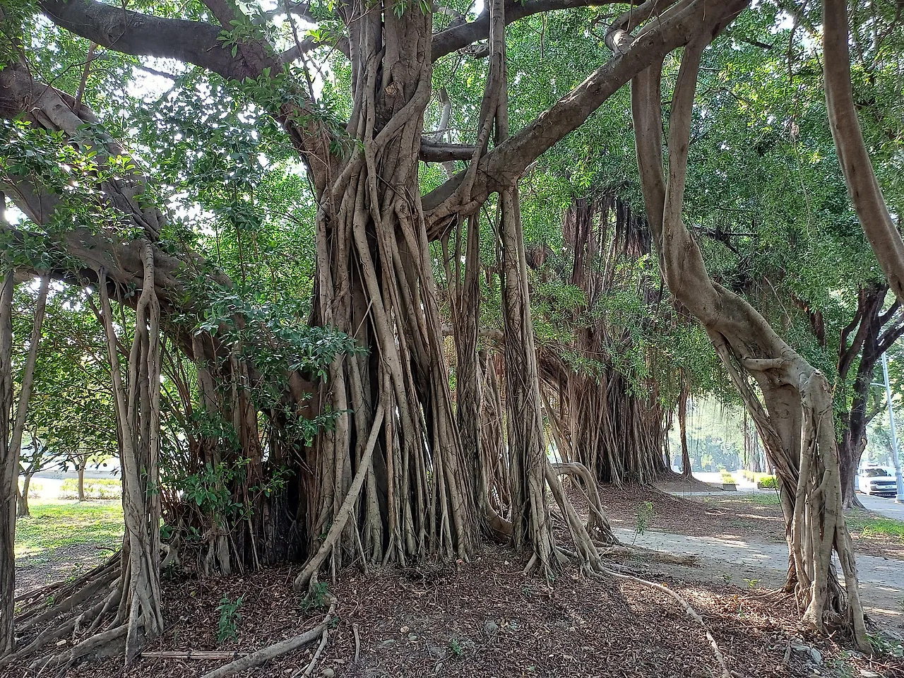 20231104_133738.jpg?type=w1600