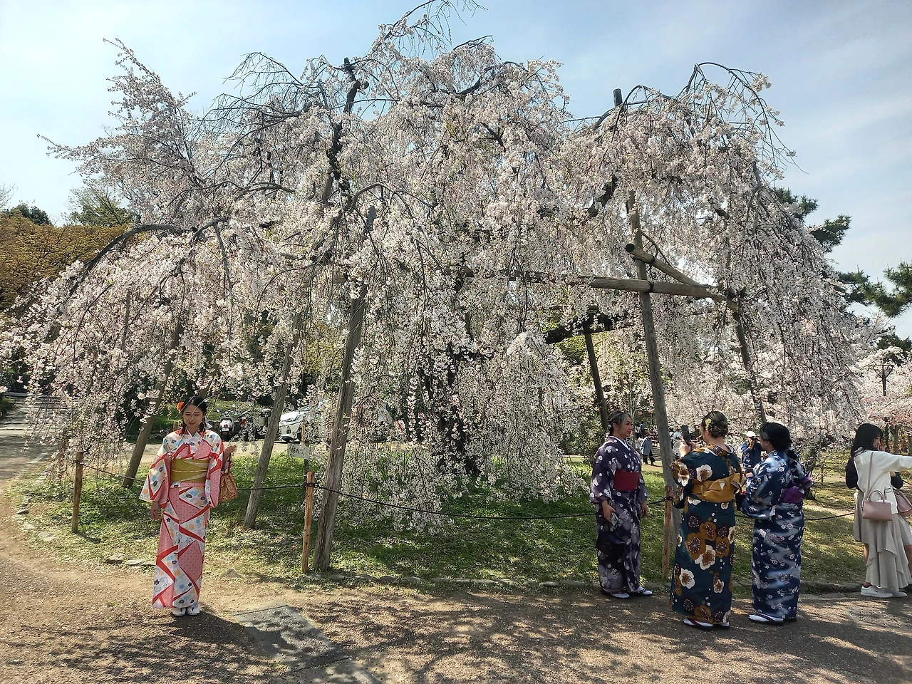 20230330_125144.jpg?type=w1600