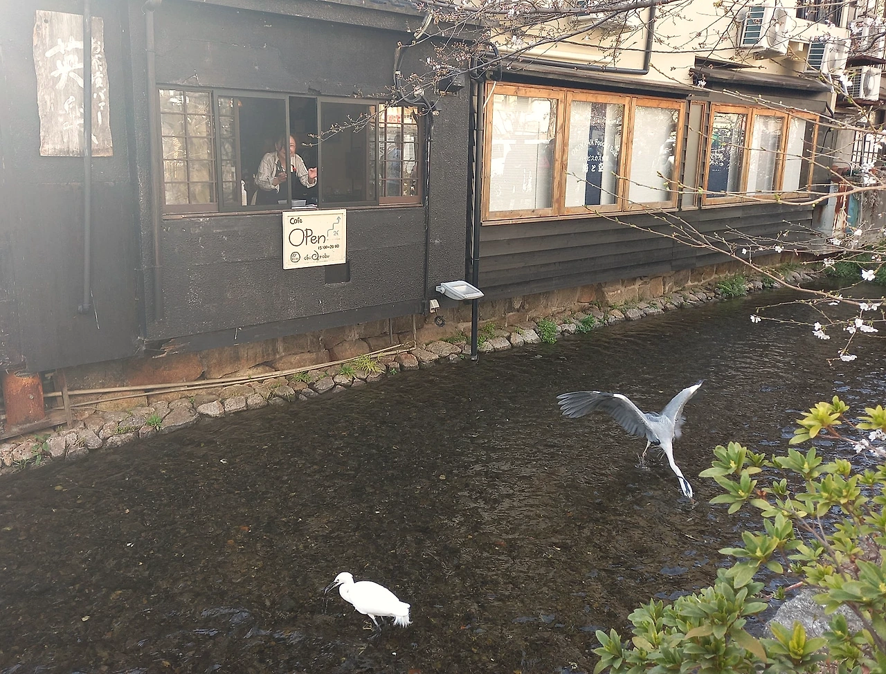 20230322_151643.jpg?type=w1600