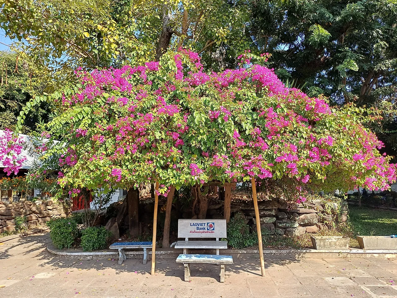 20241223_135401.jpg?type=w1600