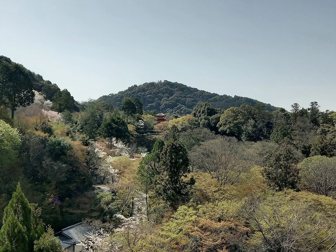 tVDTMK71qgpg81Uira7H5T4G_LU