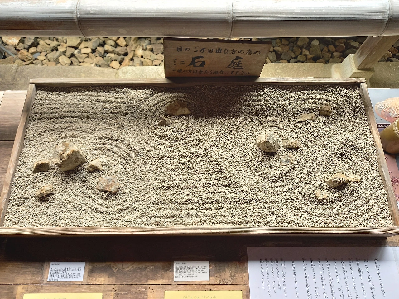 20230331_103733.jpg?type=w1600