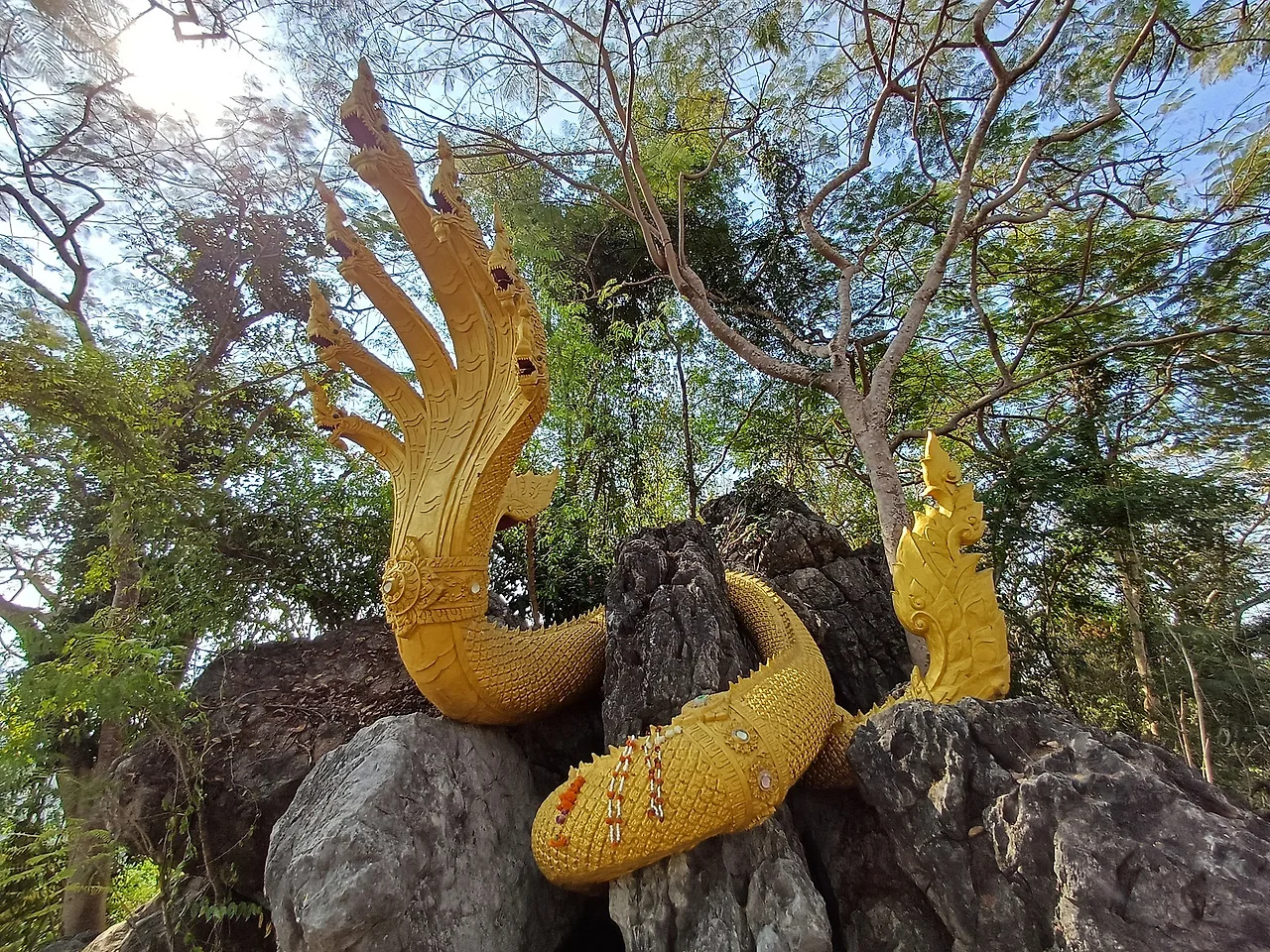 20241223_111712.jpg?type=w1600