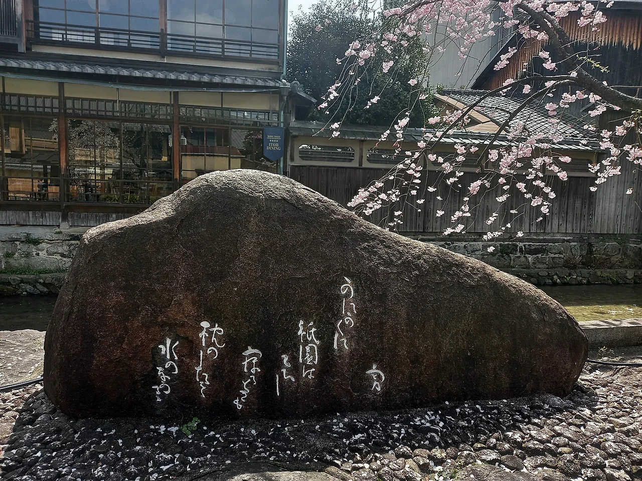 20230327_121427.jpg?type=w1600