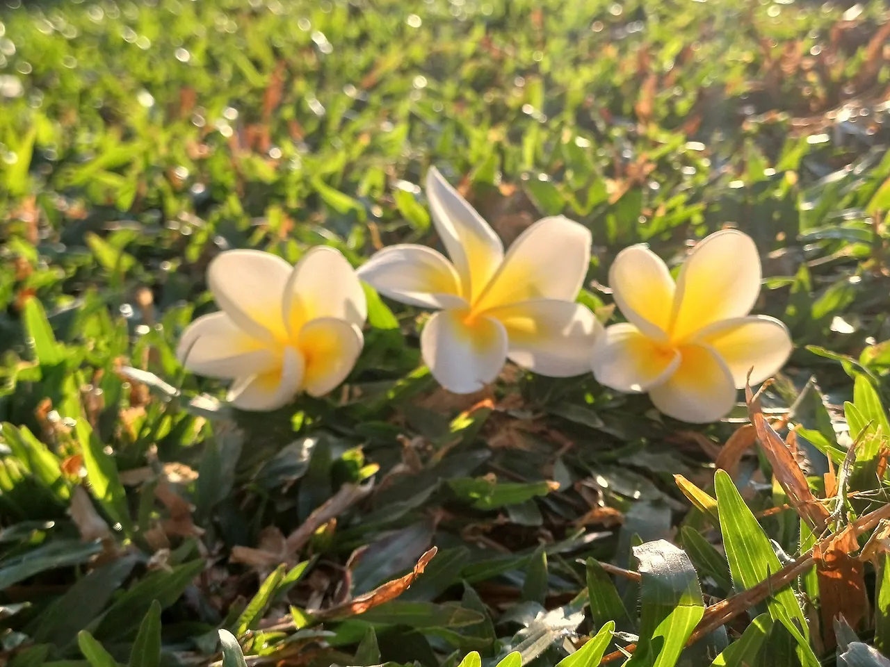 20250101_165011.jpg?type=w1600