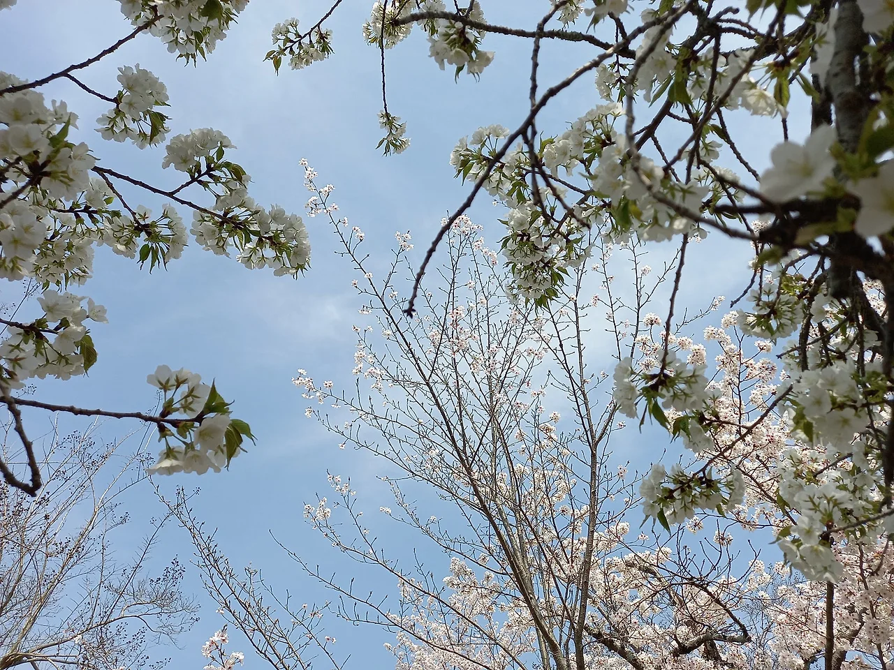 20230330_121746.jpg?type=w1600