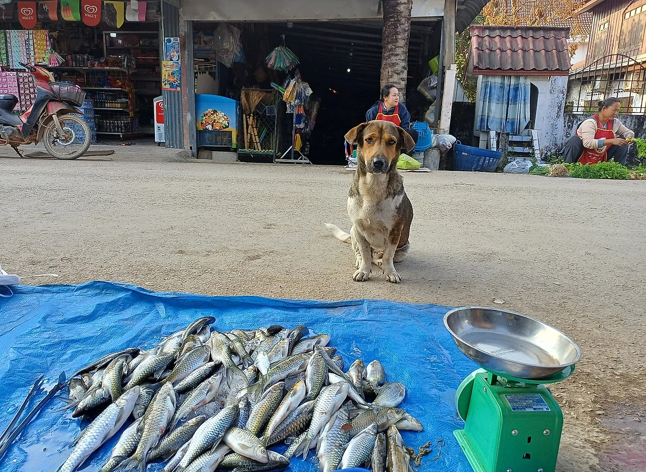 SE-46de0eef-b953-4993-8d56-ba8b02f04943.jpg?type=w1600