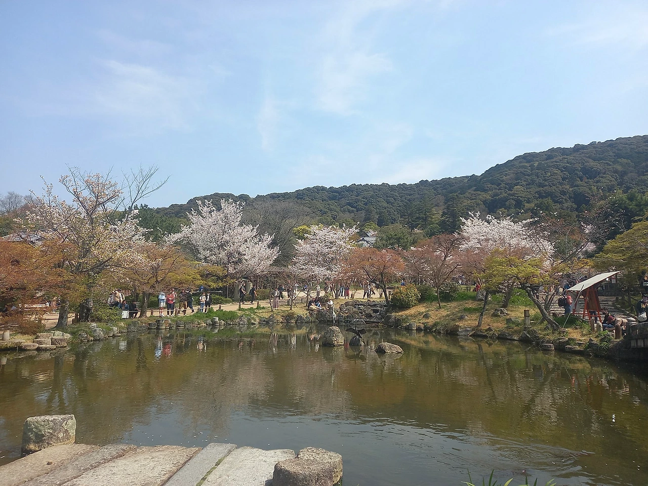 20230330_120307.jpg?type=w1600