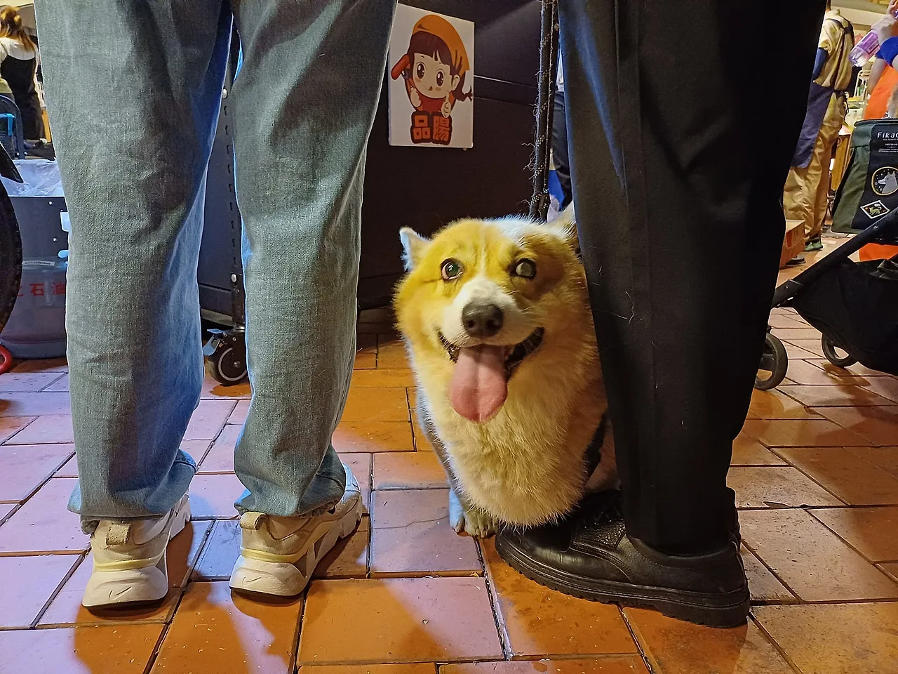 20231021_190056.jpg?type=w1600