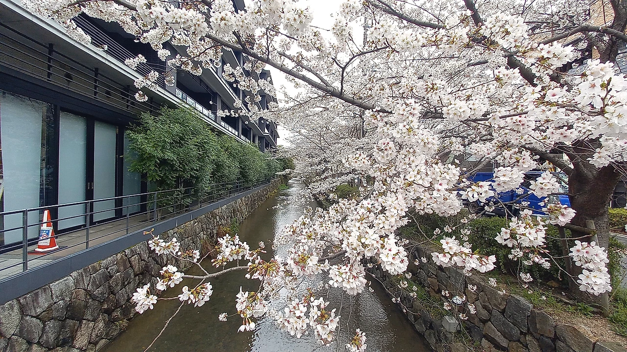 20230324_092923.jpg?type=w1600