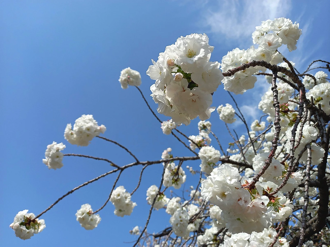 20230331_133203.jpg?type=w1600