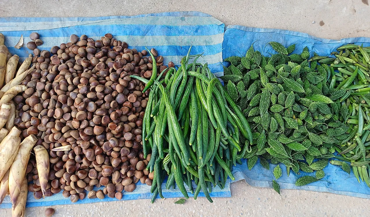 SE-8970ebbd-1c69-4510-a3d8-6ba3647f5017.jpg?type=w1600