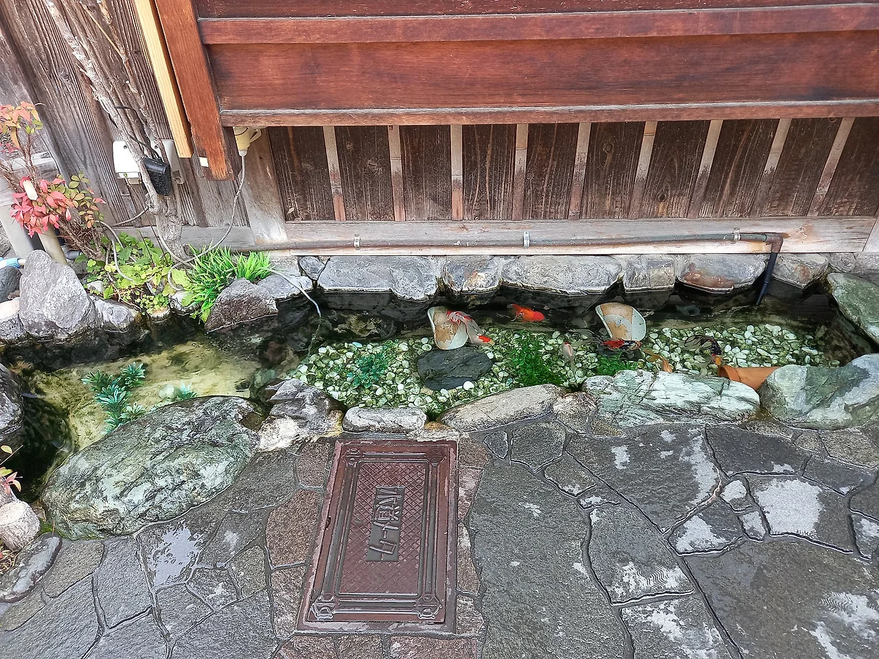 20230330_110515.jpg?type=w1600