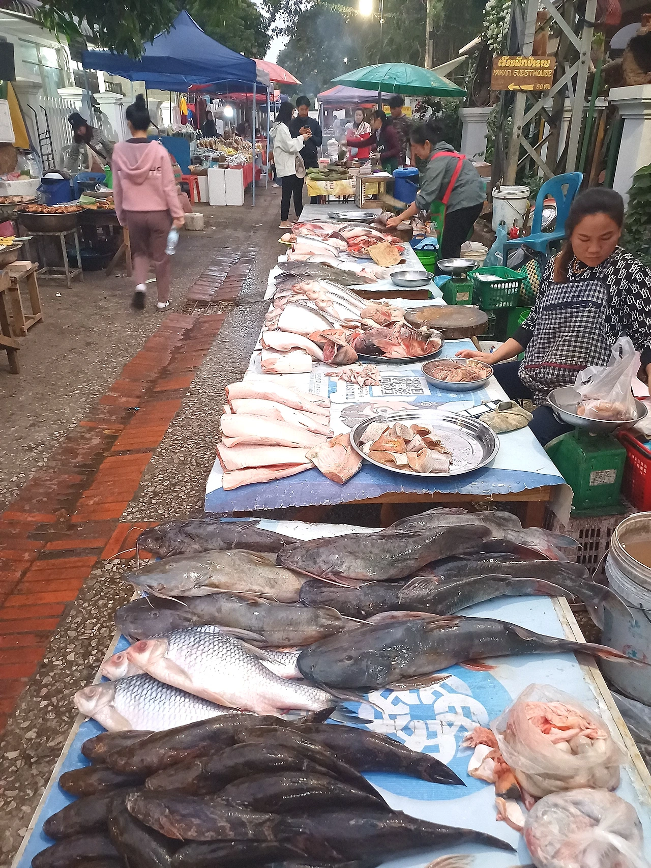 20241229_063050.jpg?type=w1600