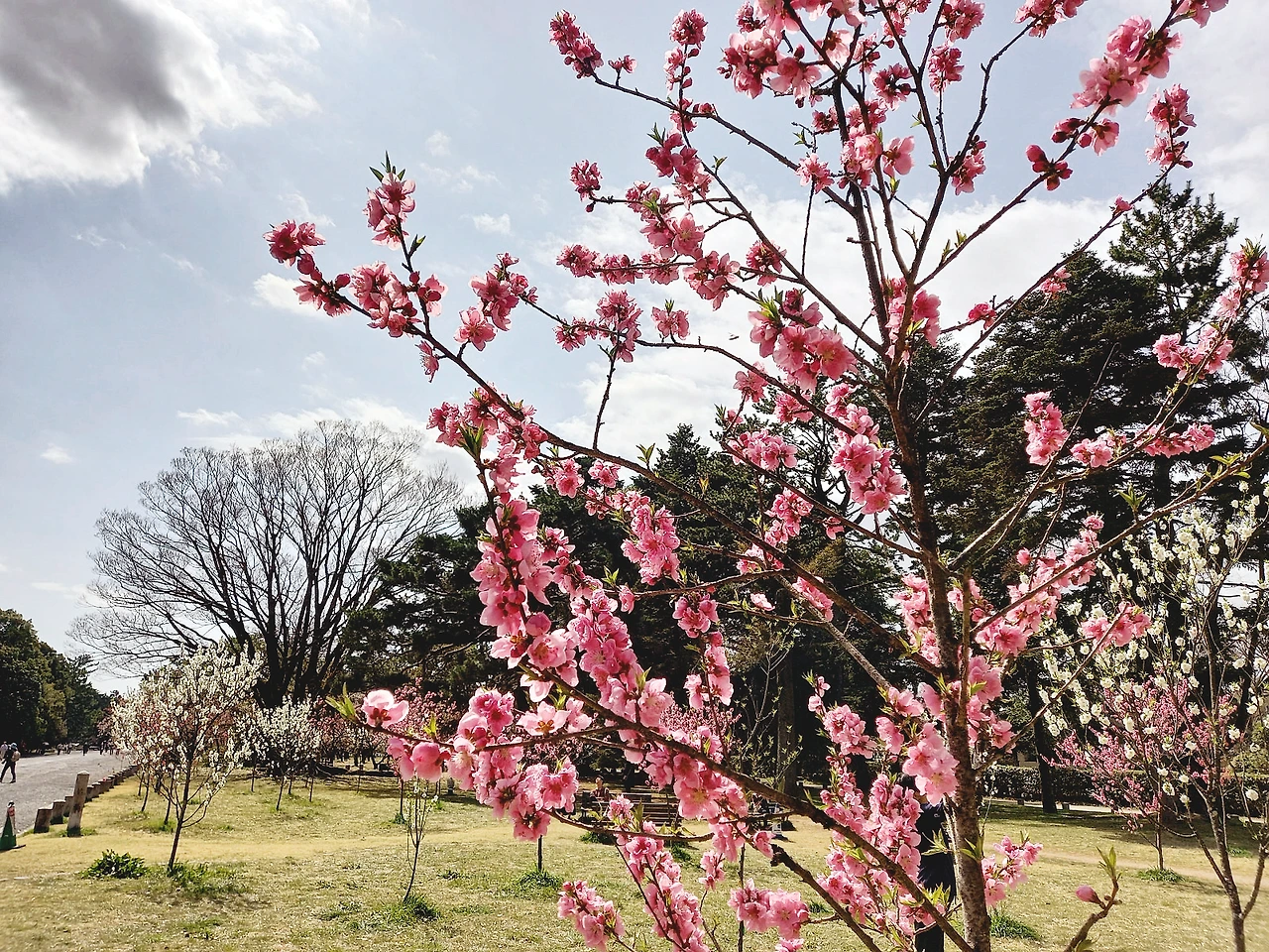 20230316_114411.jpg?type=w1600