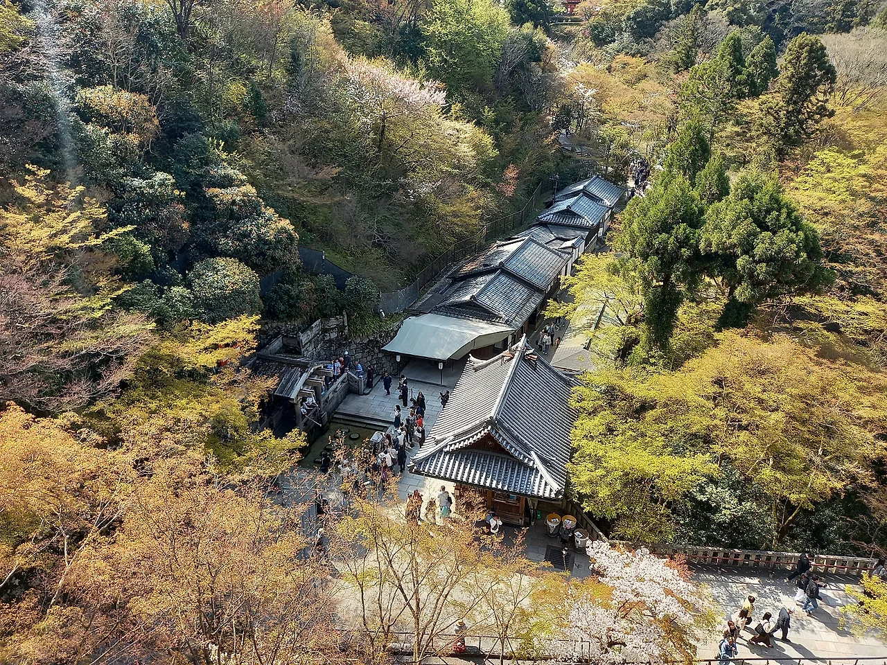 20230330_095459.jpg?type=w1600