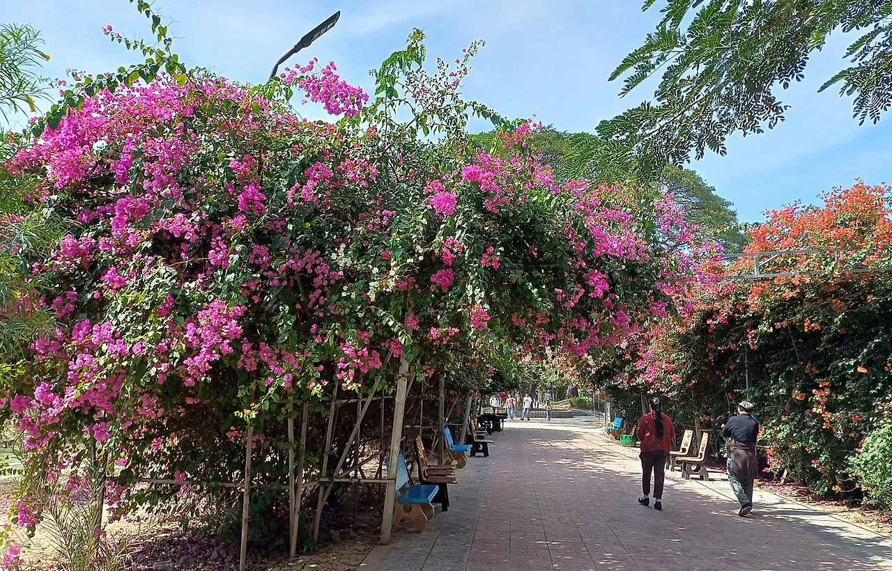 SE-8dd6b976-a772-41d0-8a20-78e6cc8a1264.jpg?type=w1600