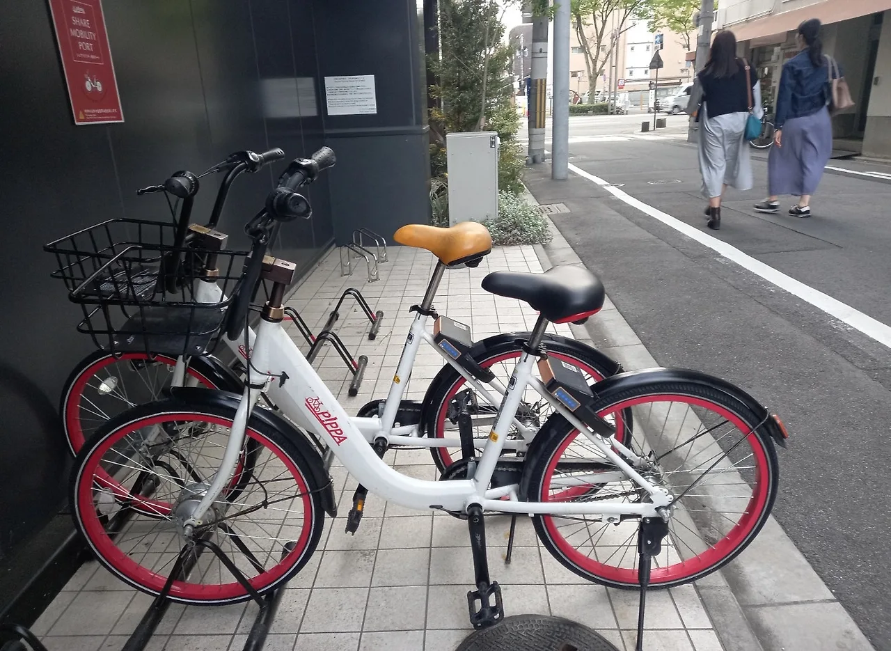 SE-d858838e-dfeb-4a3c-9474-c788af52b77f.jpg?type=w1600