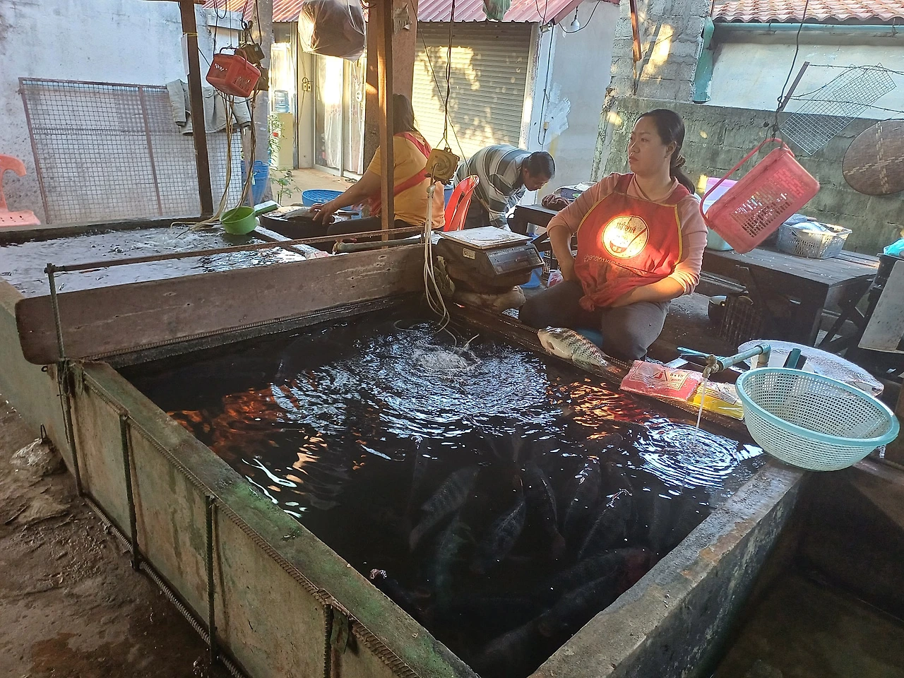 20241223_164243.jpg?type=w1600