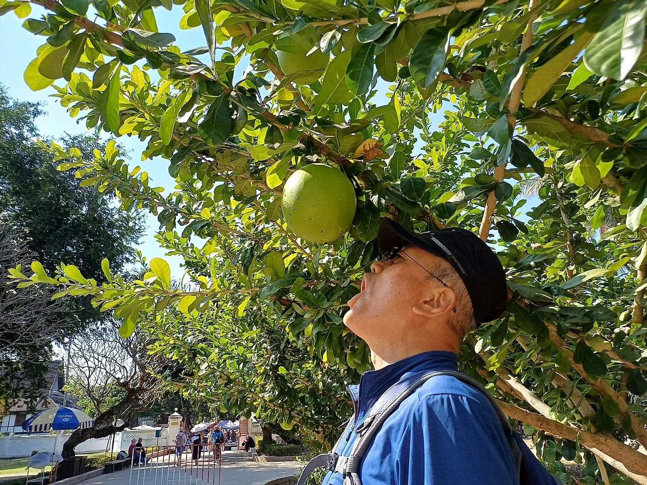 20241224_115030.jpg?type=w1600