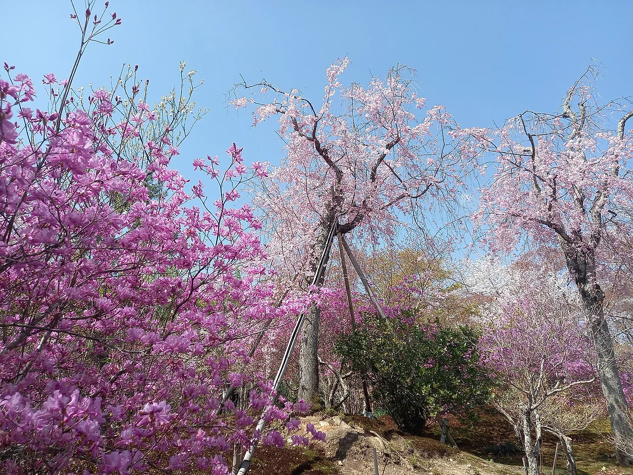 20230329_111638.jpg?type=w1600