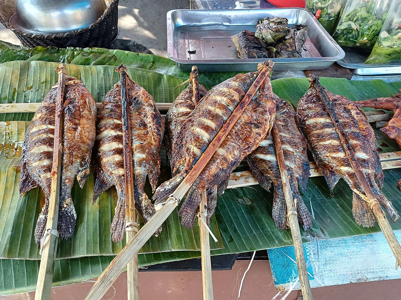 20241220_112750.jpg?type=w1600