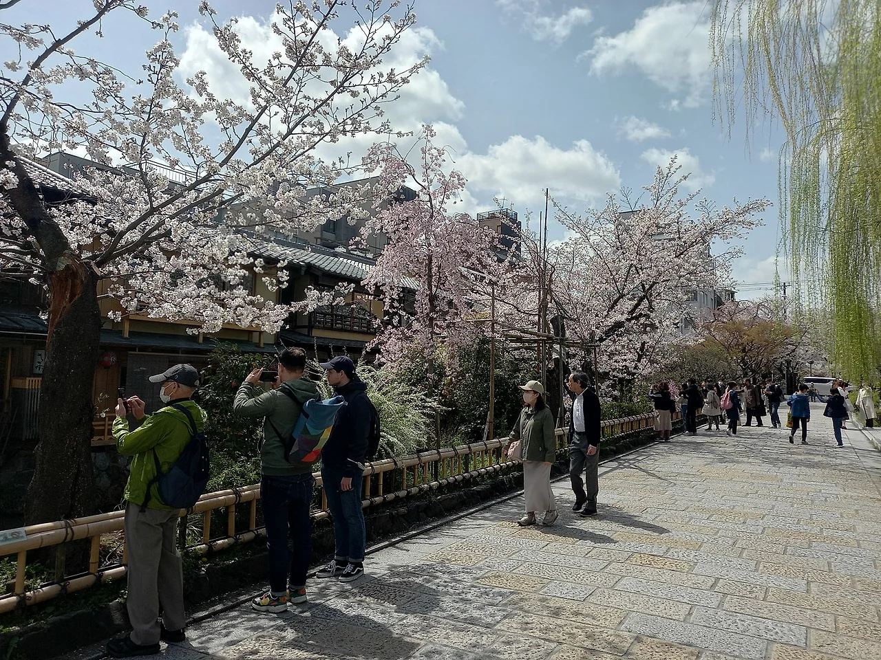 20230327_121154.jpg?type=w1600