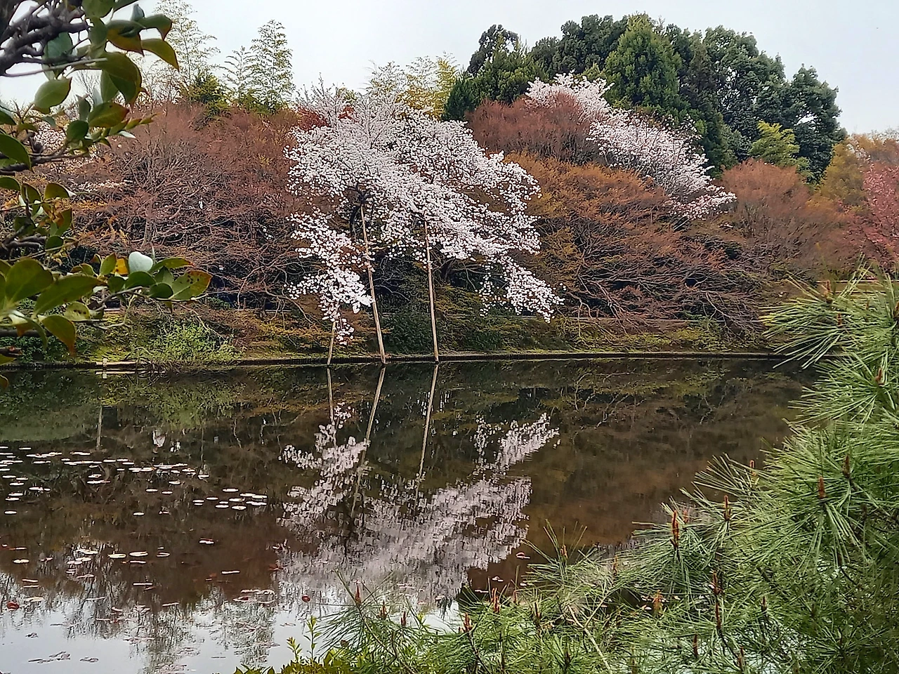 20230331_103143.jpg?type=w1600