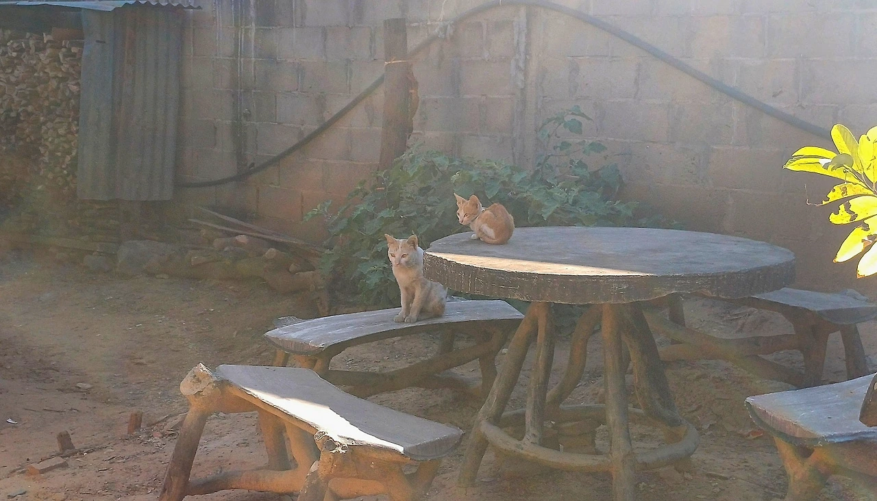 SE-fdd826f6-1eeb-4681-82f1-afeed7cac8a8.jpg?type=w1600