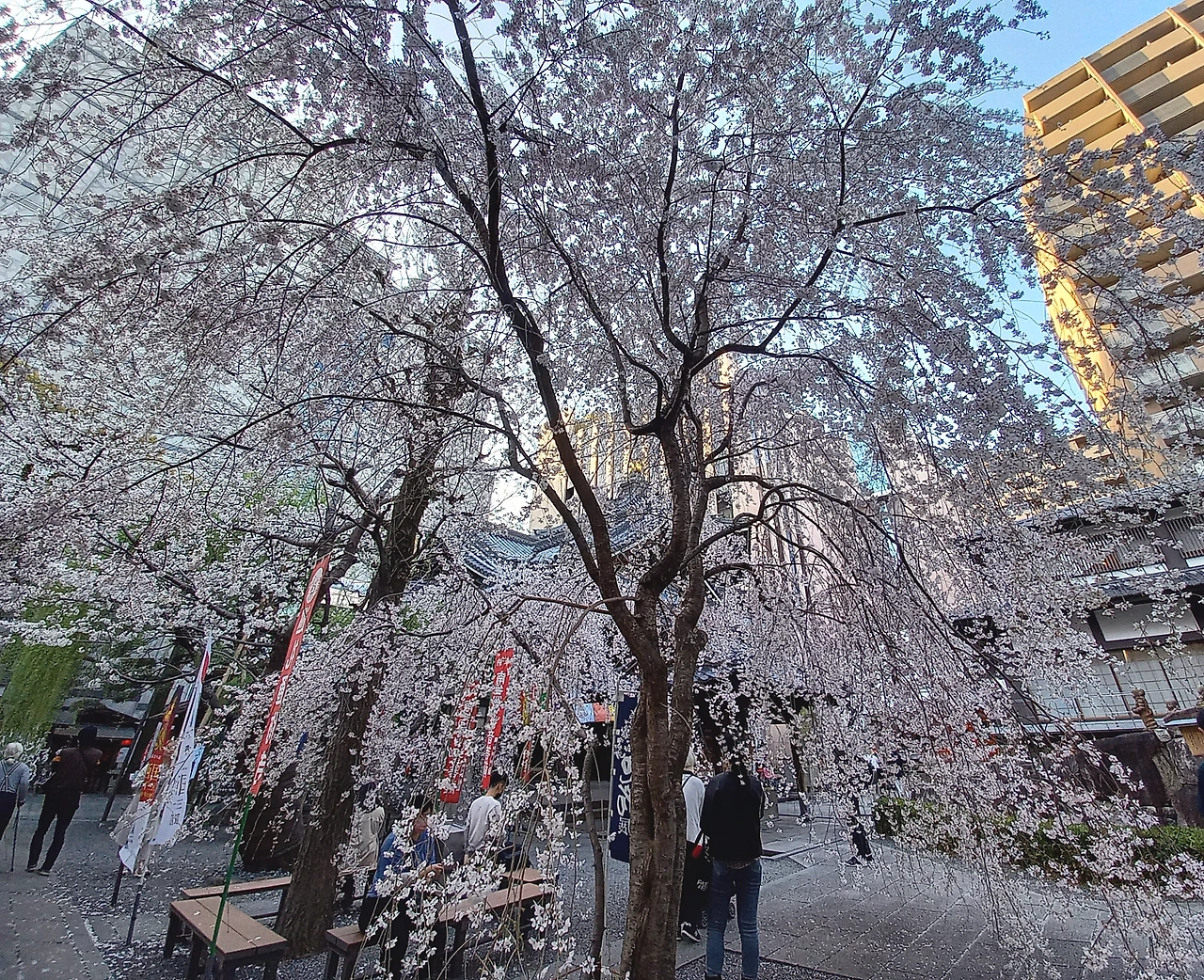 20230322_165415.jpg?type=w1600