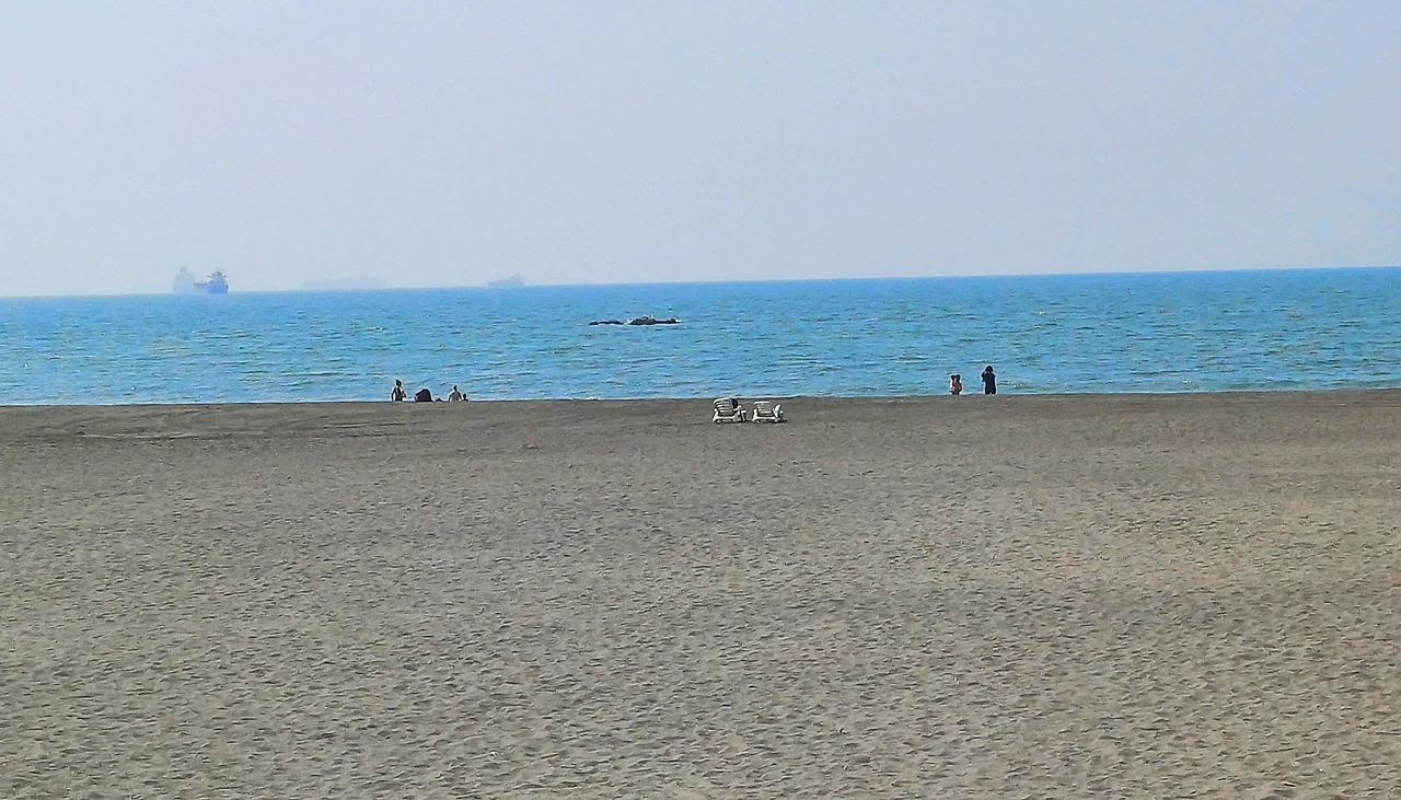 SE-2173d2c9-739b-4da2-b429-fdb5ddde5d4b.jpg?type=w1600