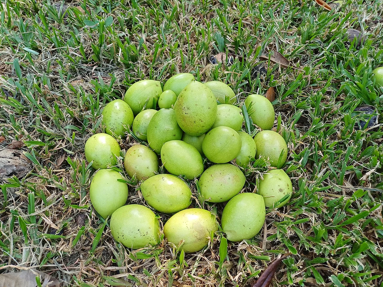 20231023_111134.jpg?type=w1600