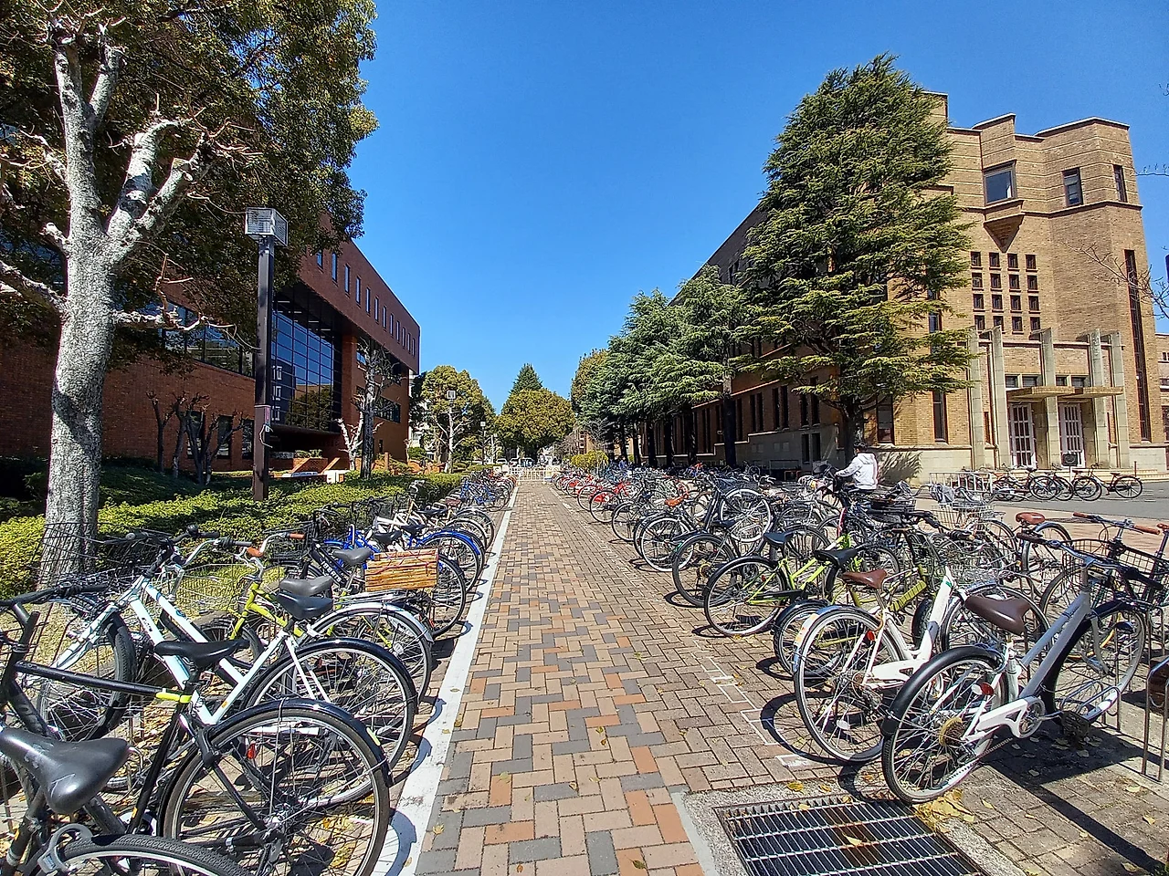 20230320_120057.jpg?type=w1600