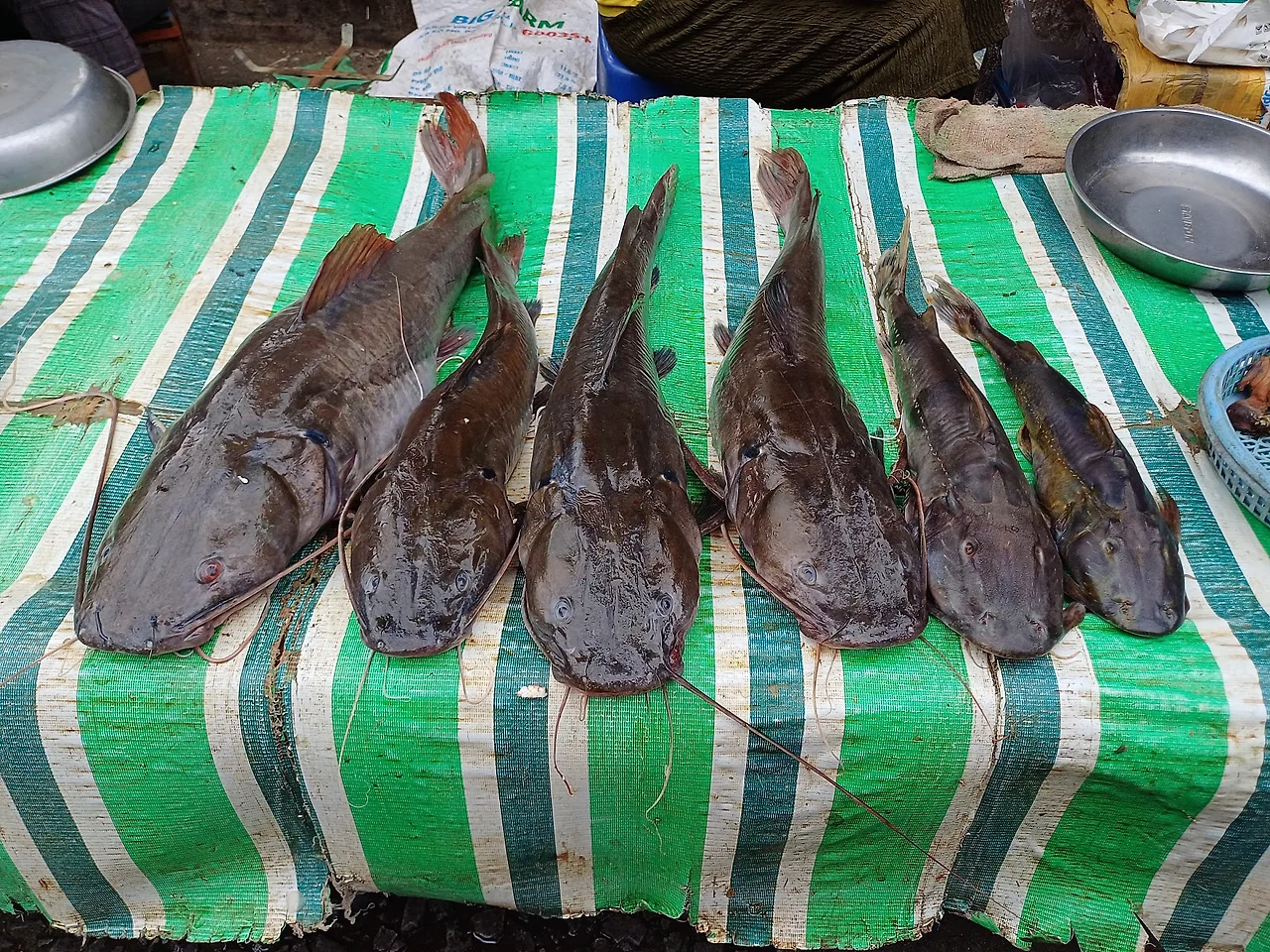 20241220_095012.jpg?type=w1600